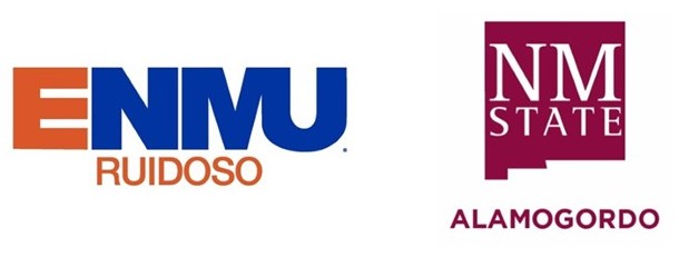 NMSUA